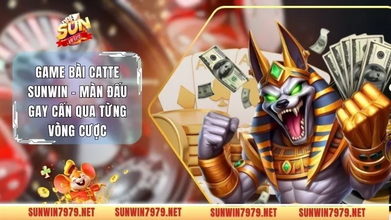 Game Bài Catte Sunwin - Màn Đấu Gay Cấn Qua Từng Vòng Cược 
